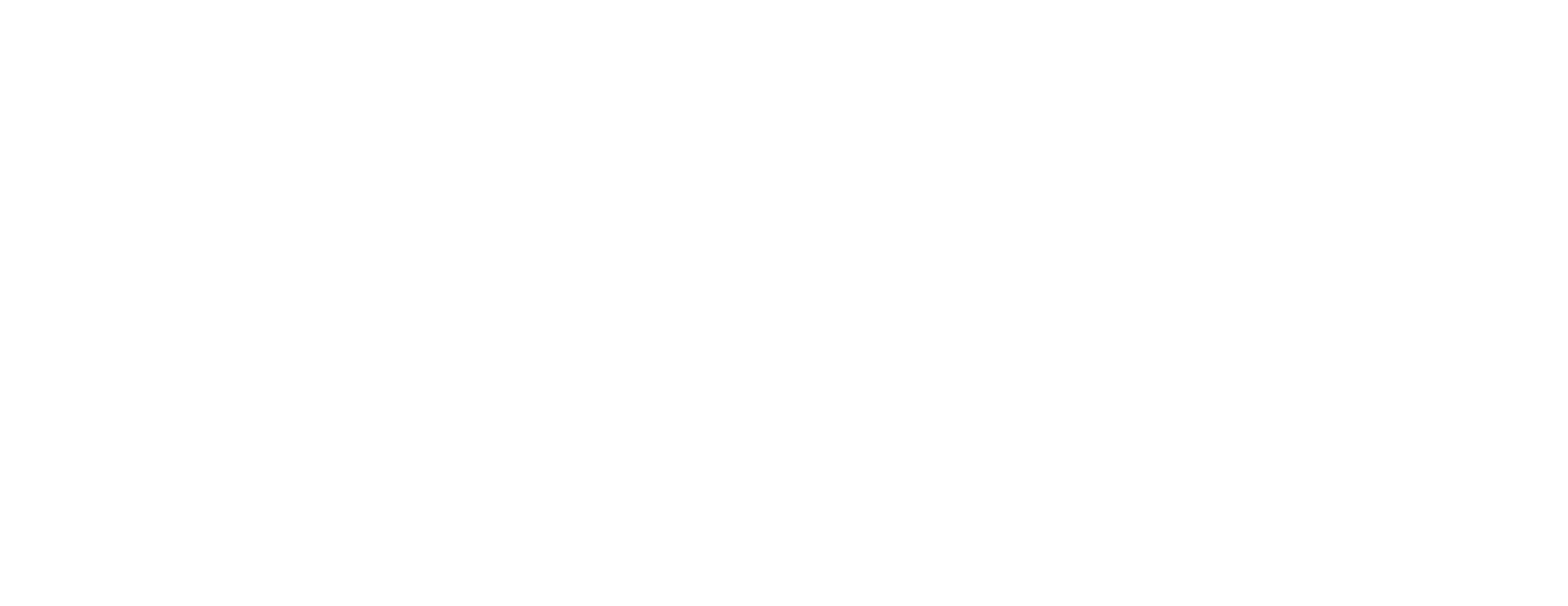 Original Burger Co.